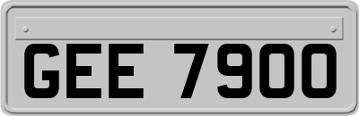 GEE7900