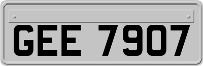 GEE7907