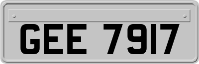 GEE7917