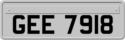 GEE7918