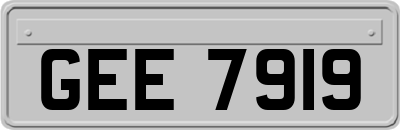GEE7919