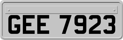 GEE7923