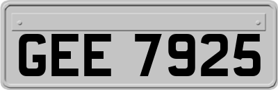 GEE7925