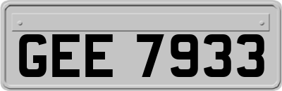 GEE7933