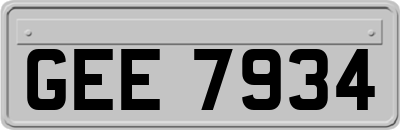 GEE7934