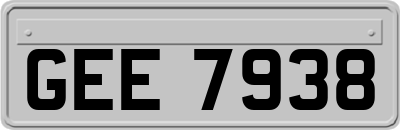 GEE7938