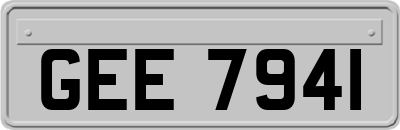 GEE7941