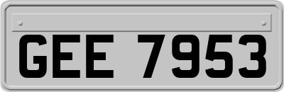GEE7953