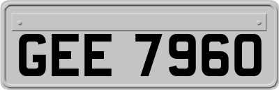 GEE7960