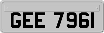 GEE7961