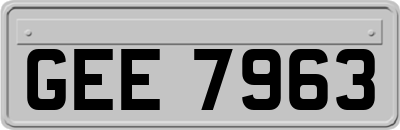 GEE7963