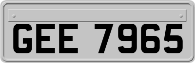GEE7965