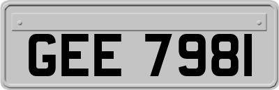 GEE7981