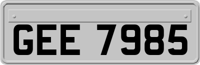 GEE7985