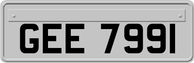 GEE7991
