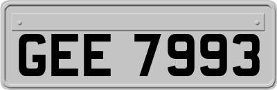 GEE7993