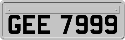 GEE7999