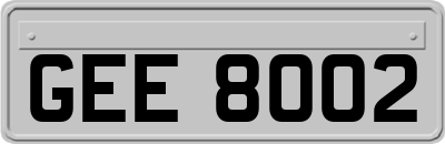 GEE8002