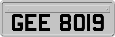 GEE8019