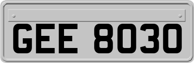 GEE8030