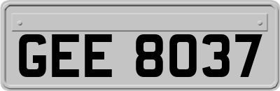 GEE8037