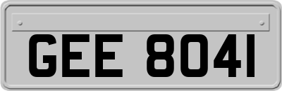 GEE8041