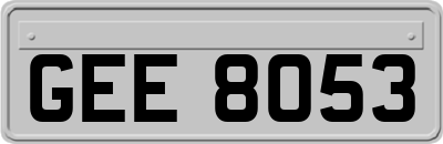 GEE8053