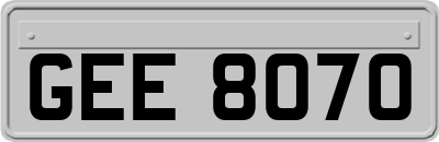GEE8070