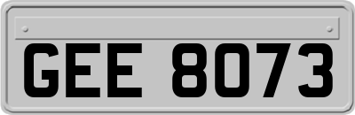 GEE8073