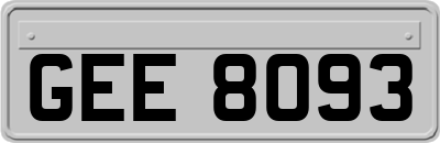 GEE8093