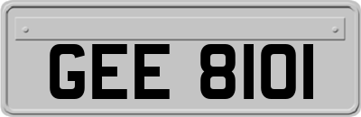 GEE8101