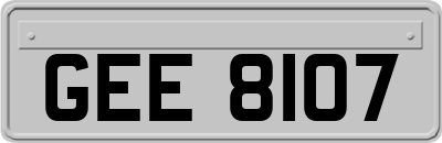GEE8107