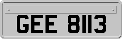 GEE8113
