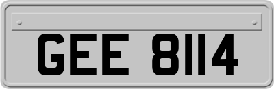 GEE8114