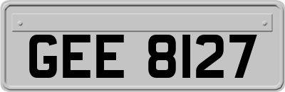 GEE8127