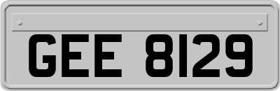 GEE8129