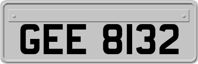 GEE8132