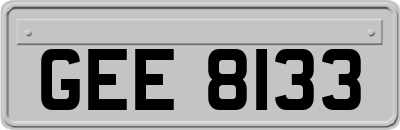 GEE8133