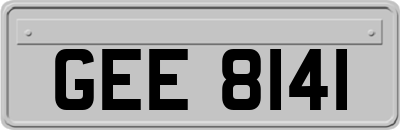 GEE8141
