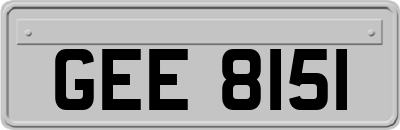 GEE8151