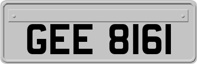 GEE8161