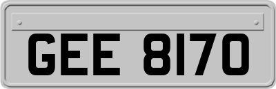 GEE8170
