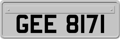 GEE8171