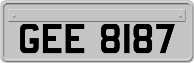 GEE8187