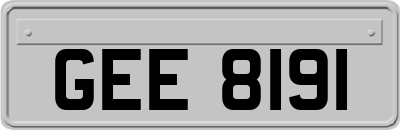 GEE8191