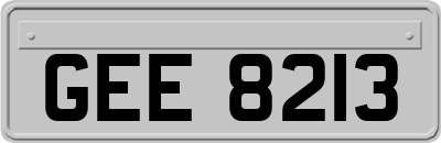 GEE8213