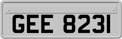 GEE8231