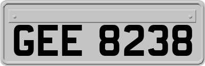 GEE8238