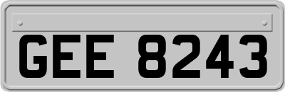 GEE8243