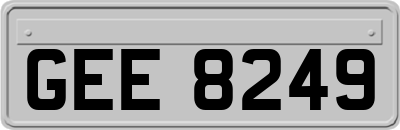 GEE8249